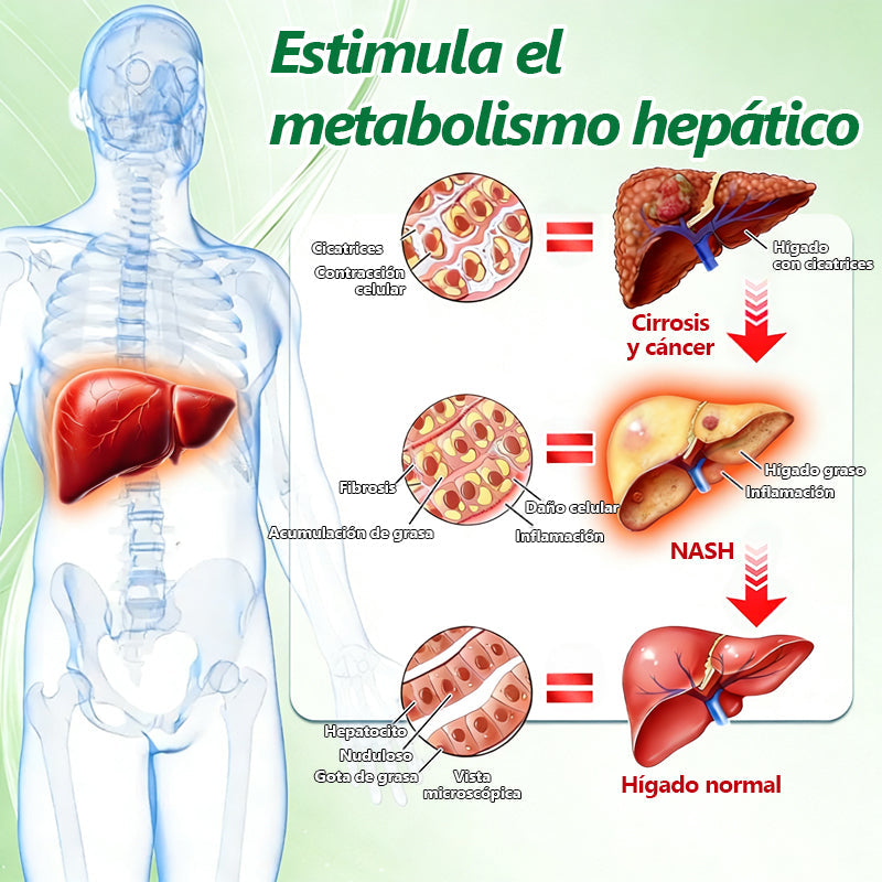 𝑬𝒙𝒑𝒆𝒓𝒊𝒆𝒏𝒄𝒊𝒂 𝗰𝗲𝗿𝘁𝗶𝗳𝗶𝗰𝗮𝗱𝗮 𝐲 𝙧𝙚𝙘𝙤𝙣𝙤𝙘𝙞𝙙𝙖👩‍⚕️ | 𝙈𝑼𝐑𝒲𝓞𝙽® 𝑴-𝑩-𝙉 𝙋𝙖𝙧𝙘𝙝𝙚 𝑴𝒆𝒕𝒂𝒃ó𝒍𝒊𝒄𝒐 𝐍𝐚𝐧𝐨-𝐅𝐮𝐬𝐢ó𝐧🦩𝑨𝒗𝒂𝒍𝒂𝒅𝒐 𝐜𝐢𝐞𝐧𝐭í𝐟𝐢𝐜𝐚𝐦𝐞𝐧𝐭𝐞 | 𝙁ó𝙧𝙢𝙪𝙡𝙖 𝟭𝟎-𝙚𝙣-1 | 𝙍𝙚𝙨𝙪𝙡𝙩𝙖𝙙𝙤𝙨 𝙚𝙣 𝙨𝙤𝙡𝙤 𝟕 𝙙í𝙖𝙨🦢