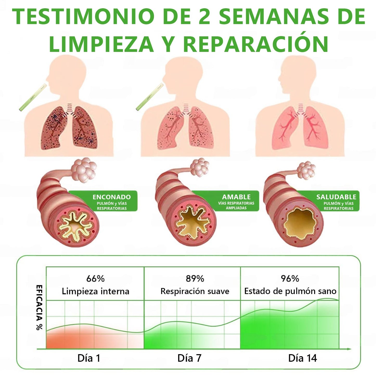 𝐓𝐢𝐞𝐧𝐝𝐚 𝐨𝐟𝐢𝐜𝐢𝐚𝐥 🍈𝐌𝐮𝐫𝑤𝗈𝒏® Difusor Botánico de Mullein para Limpieza de Pulmones (🫁 Tos, faringitis, dificultad para respirar, flema, congestión nasal, bronquitis, síntomas alérgicos, malestar pulmonar)1🎉🎉