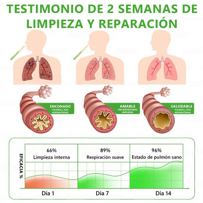 𝐓𝐢𝐞𝐧𝐝𝐚 𝐨𝐟𝐢𝐜𝐢𝐚𝐥 🍈𝐌𝐮𝐫𝑤𝗈𝒏® Difusor Botánico de Mullein para Limpieza de Pulmones (🫁 Tos, faringitis, dificultad para respirar, flema, congestión nasal, bronquitis, síntomas alérgicos, malestar pulmonar)1🎉🎉